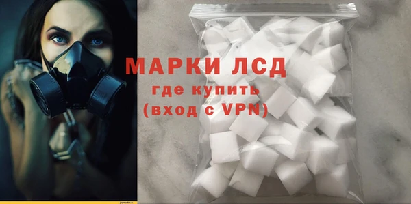 шишки Слюдянка