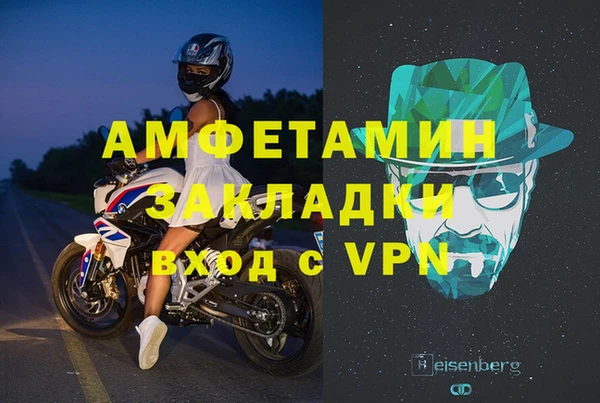 шишки Слюдянка