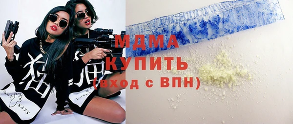 шишки Слюдянка