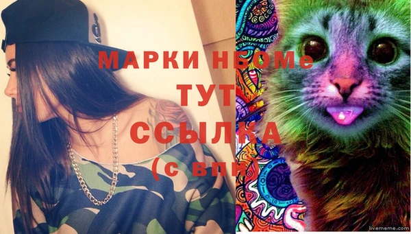 мяу мяу мука Баксан