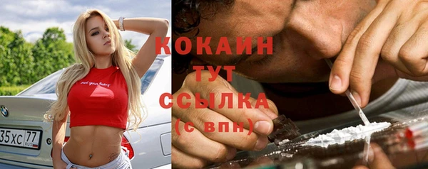 шишки Слюдянка