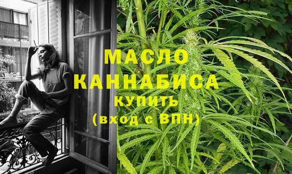 шишки Слюдянка