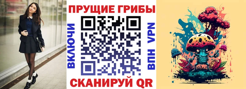 Псилоцибиновые грибы GOLDEN TEACHER  Западная Двина 