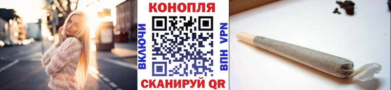 Канабис OG Kush  Западная Двина 